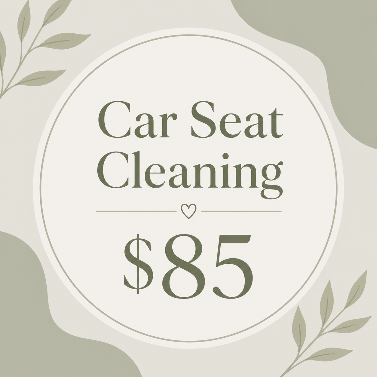 Car Seat Cleaning