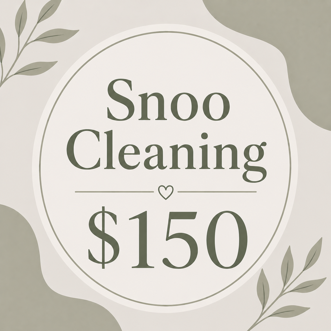 Snoo Cleaning