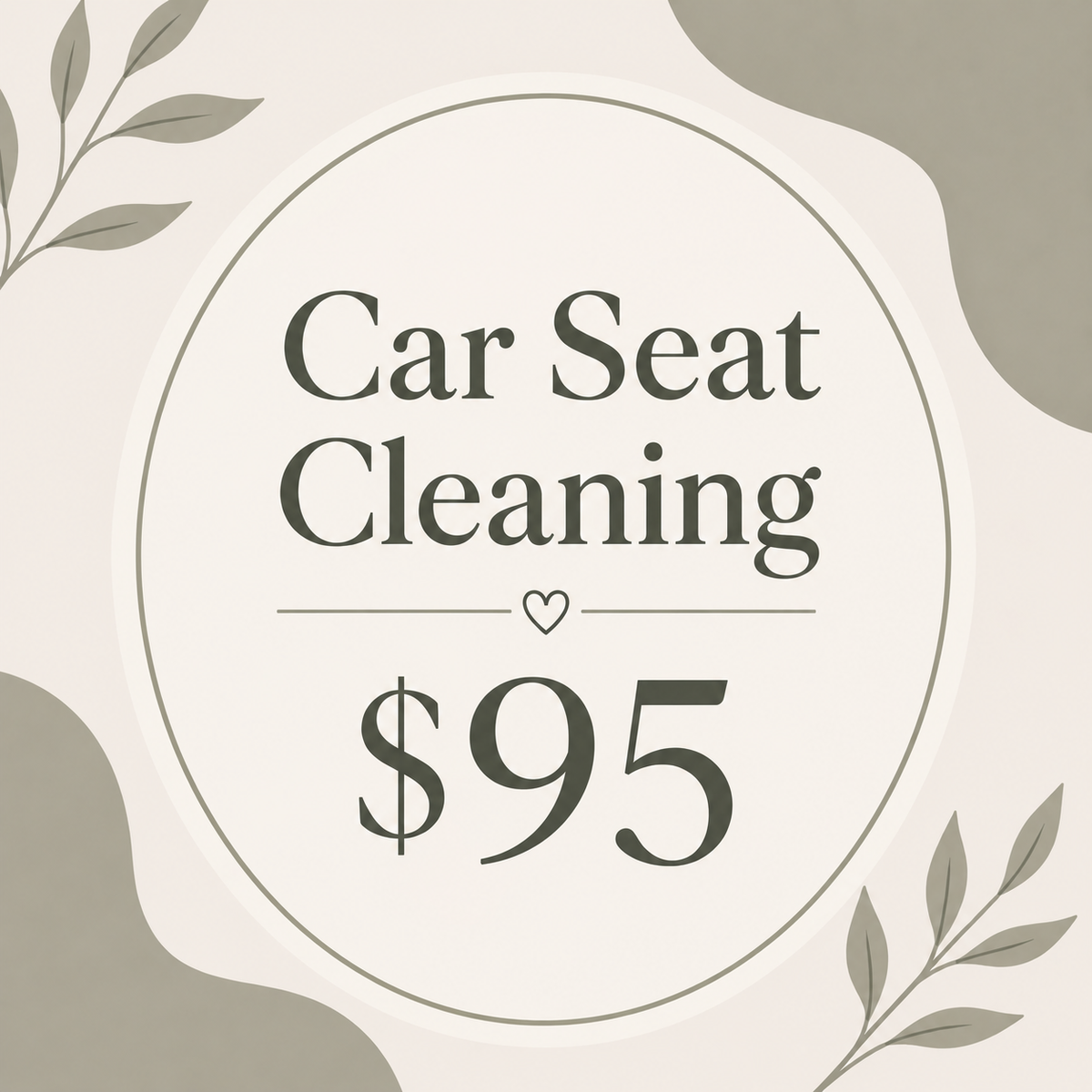 Car Seat Cleaning