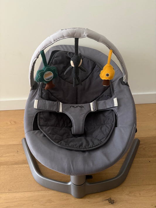 Nuna Leaf Grow Swing