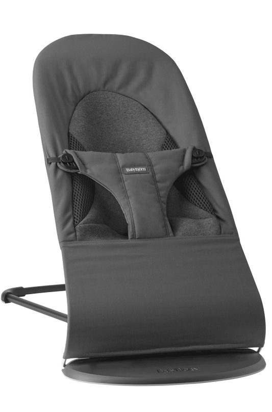 Baby Bjorn Bouncer