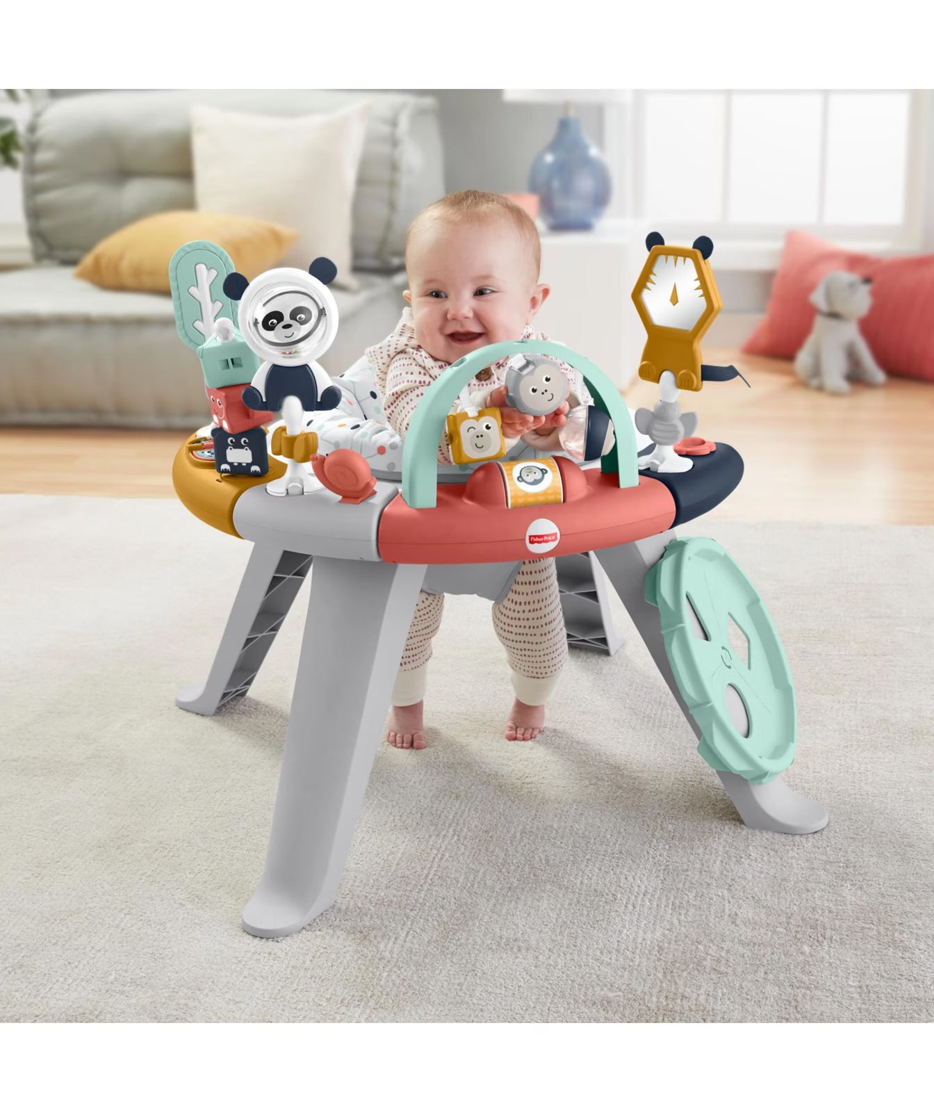 Fisher-Price Standing Activity Centre