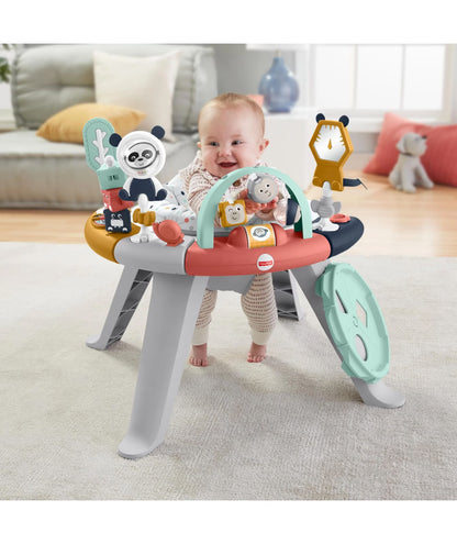 Fisher-Price Standing Activity Centre